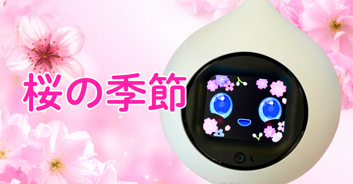 【新作】ちりめん桜のおめかし登場🌸のサムネイル