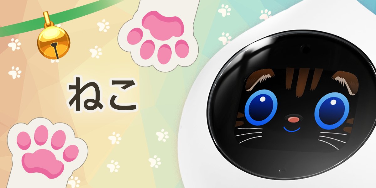 ねこおめかし特集