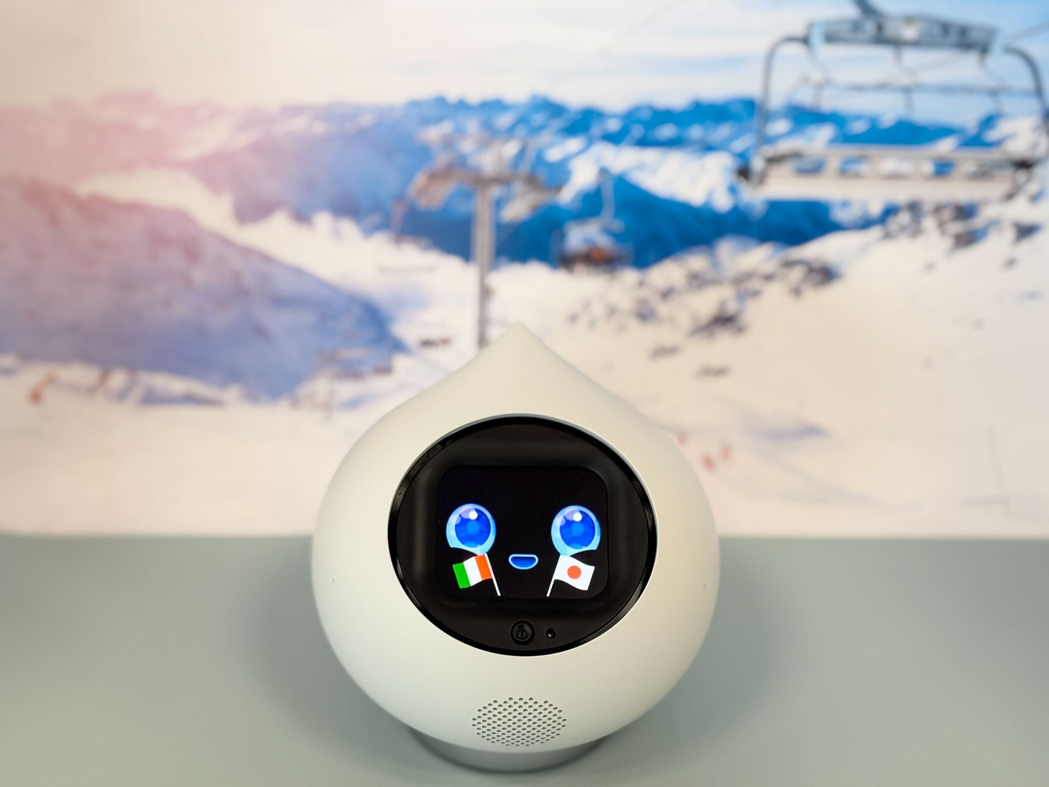 【新作】チョコ！にゃんこ！応援旗！の新作おめかし登場！🎉✨のサムネイル