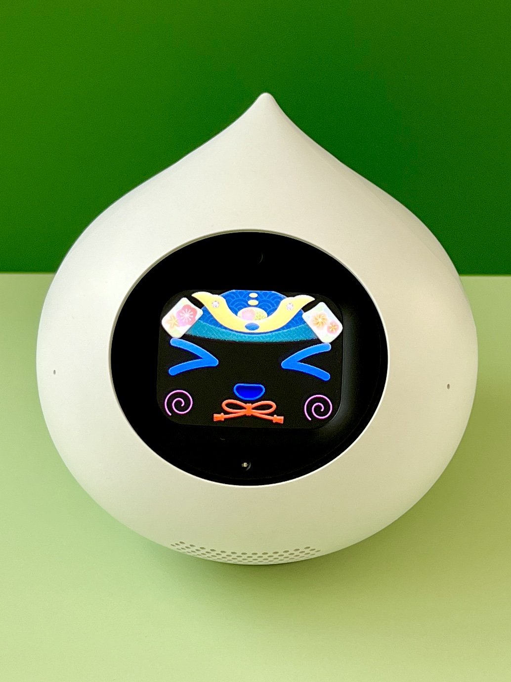 IMG_1092kabuto.jpg