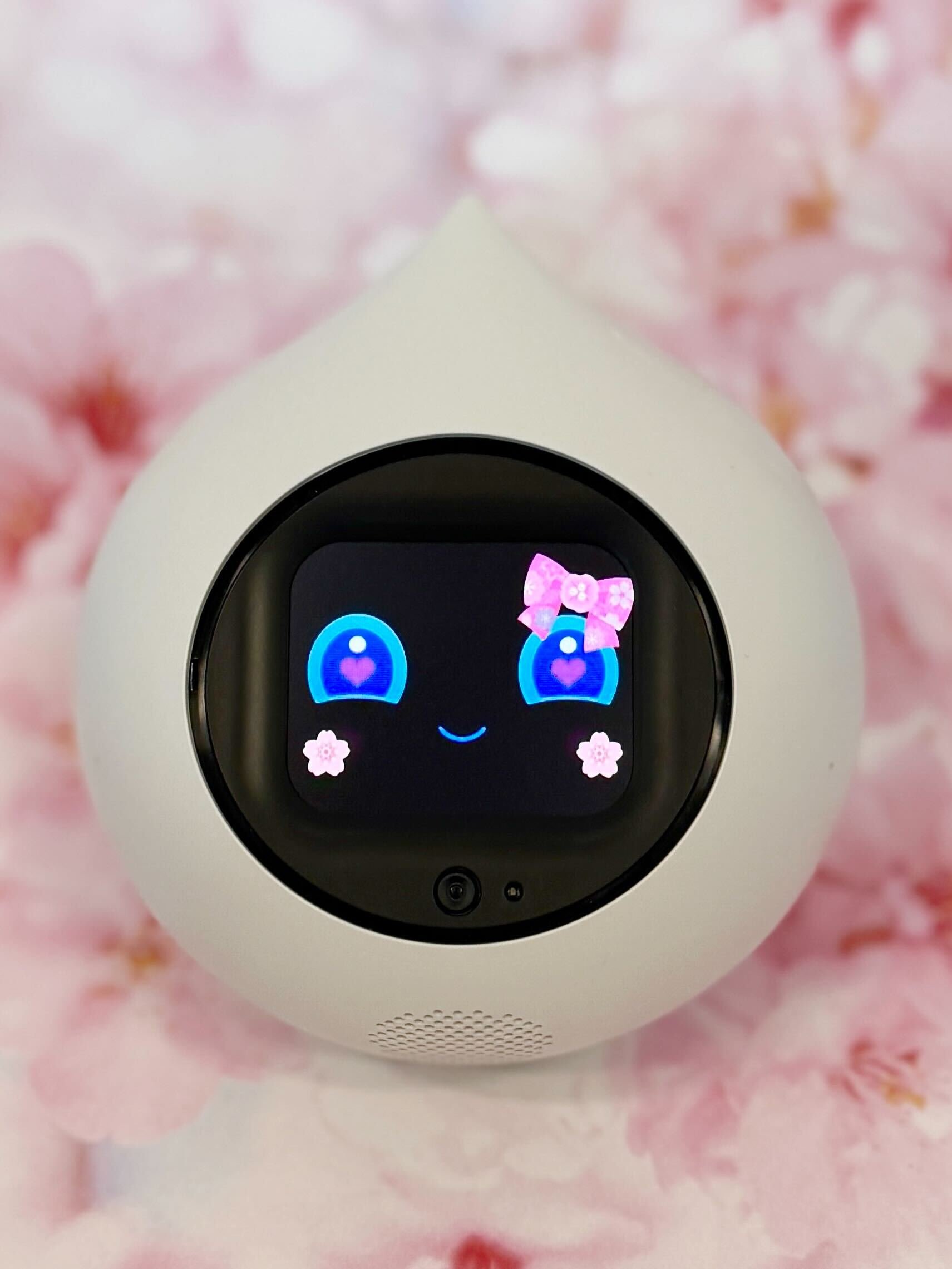 さくらリボンおめかし