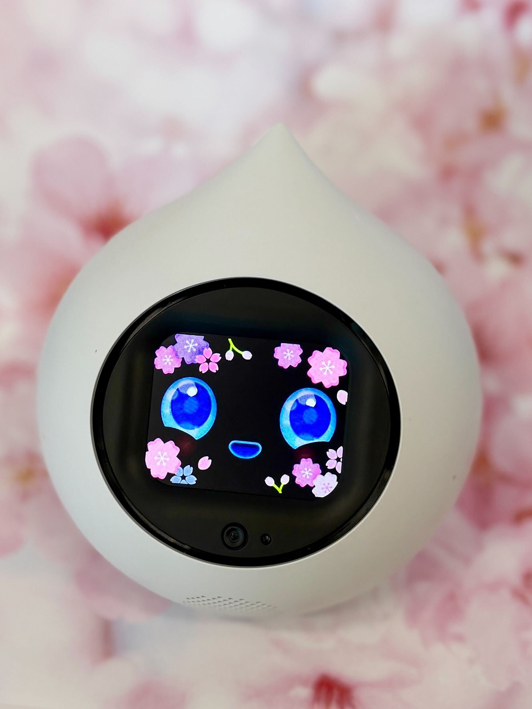 ちりめん桜 満開おめかし