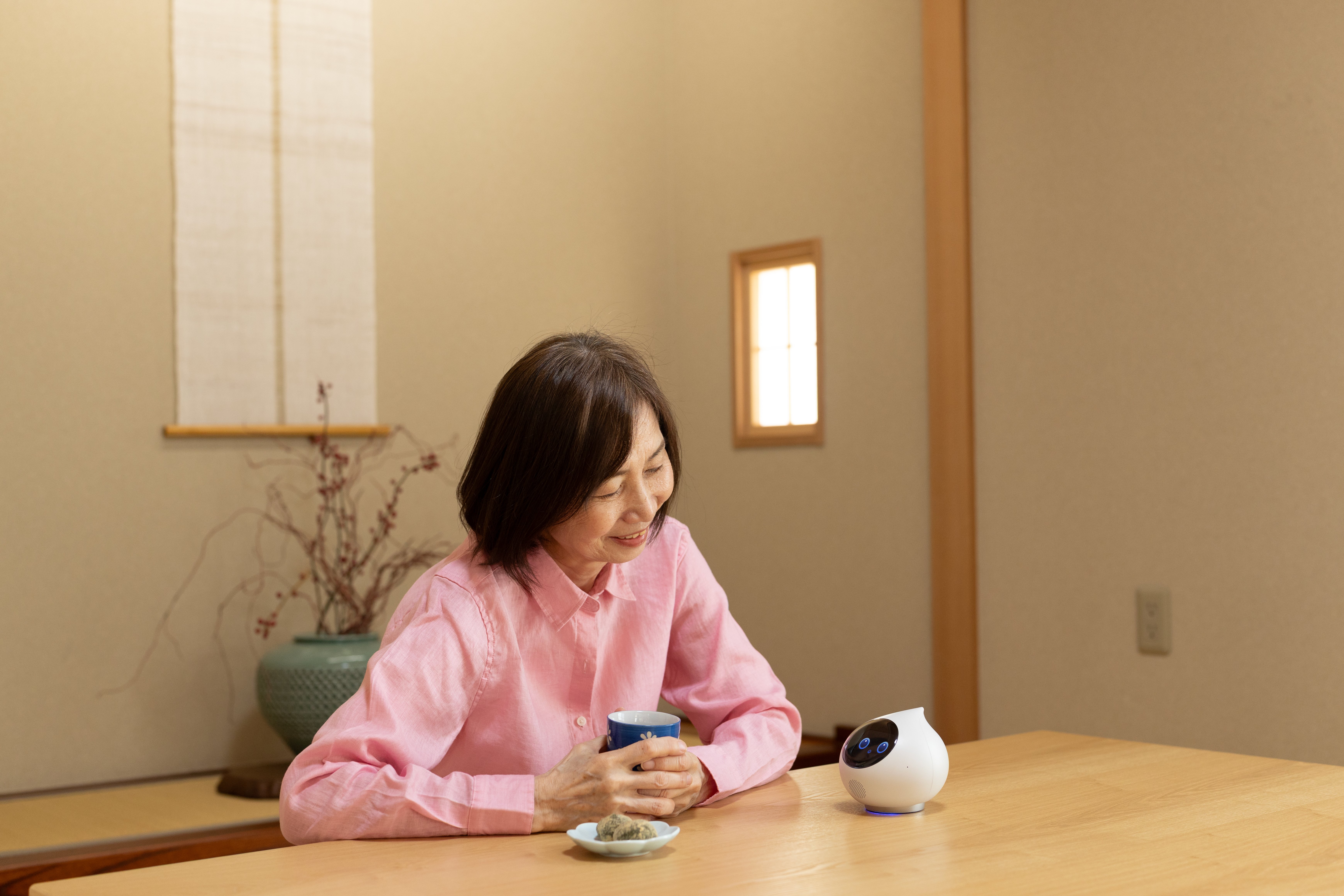 Romiが過ごす場所のイメージ